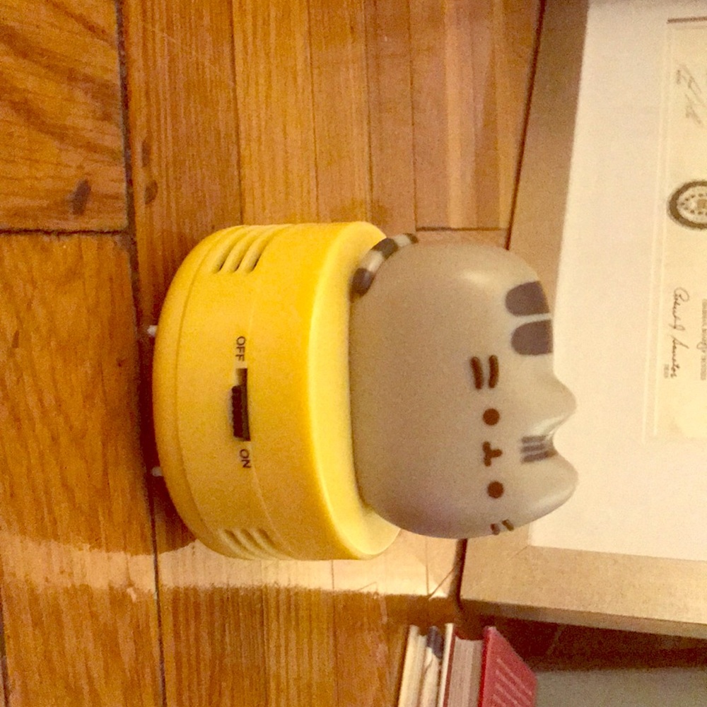 Pusheen clean timer